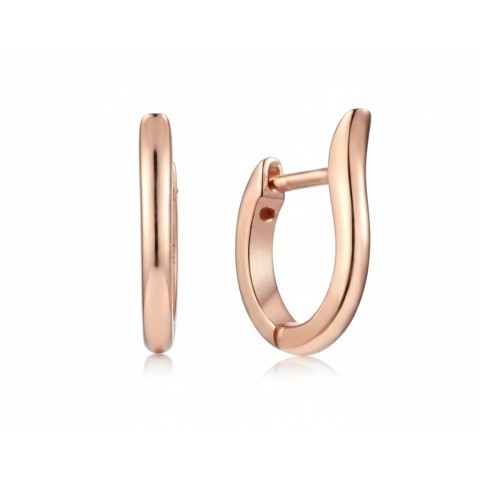 Hõbe kõrvarõngad 925°