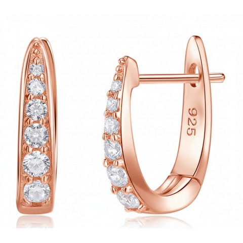 Hõbe kõrvarõngad 925°